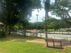 Blk 248 Hougang Avenue 3 (Hougang), HDB 3 Rooms #572223881